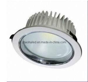 LED Downlight (ZH-TD135-D9)