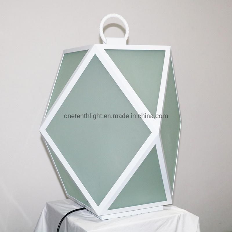 S. S Base and Frame in White Finish with Frosted Glass Shade Floor Lamp