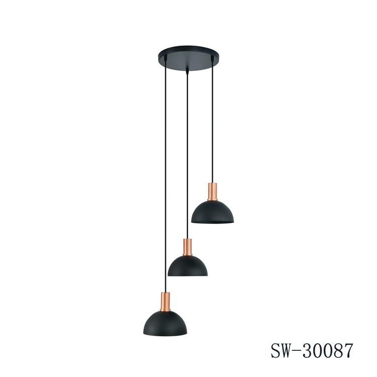 Decorative Lighting Fixture Room LED Ceiling Lamp Nordic Hanging Light Fixtures for Dining Room Home Lighting