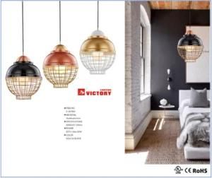 Comtenporary New Style Round Black Metal Pendant Hanging Light