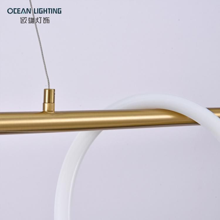 Hanging Lamp Nordic Modern Indoor Linear LED Pendant Light