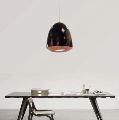 Simple Decorative Modern Pendant Lamp Hanging Lighting in Bright Black