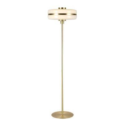 Modern Luxury Hotel Home Lobby Living Room Bedroom Decorative Iron Gold Standing Light LED Floor Lamp