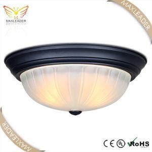 ceiling lamps antique white glass black metal E27(MX7369)