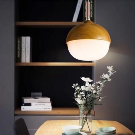 Modern Unique Design Egg Oak Wooden Decorative Pendant Lamp