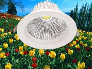 20W Dimmable COB LED Downlight with CE SAA RoHS Approved (XY-COBDL-121)