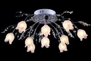 2013 Modern Newest Ceiling Light