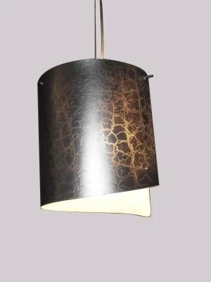 Modern Design Pendant Lamp (PD-1327-1)