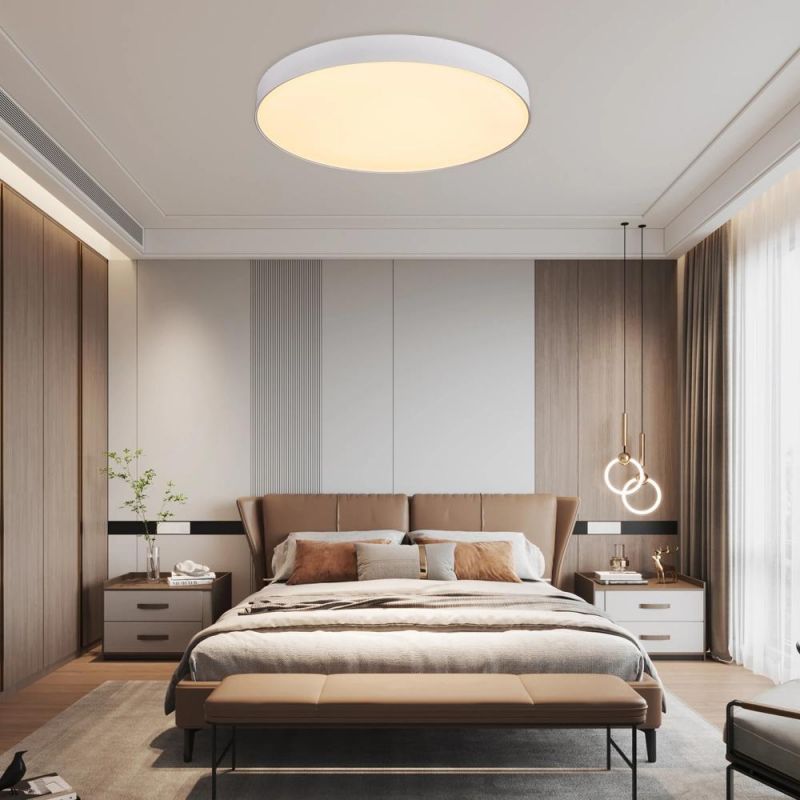 Nordic Smart Indoor LED Lighting Decorative Ceiling Light