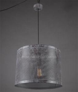 Phine Decoration Metal Fashion Pendant Lamp Interior Lighting