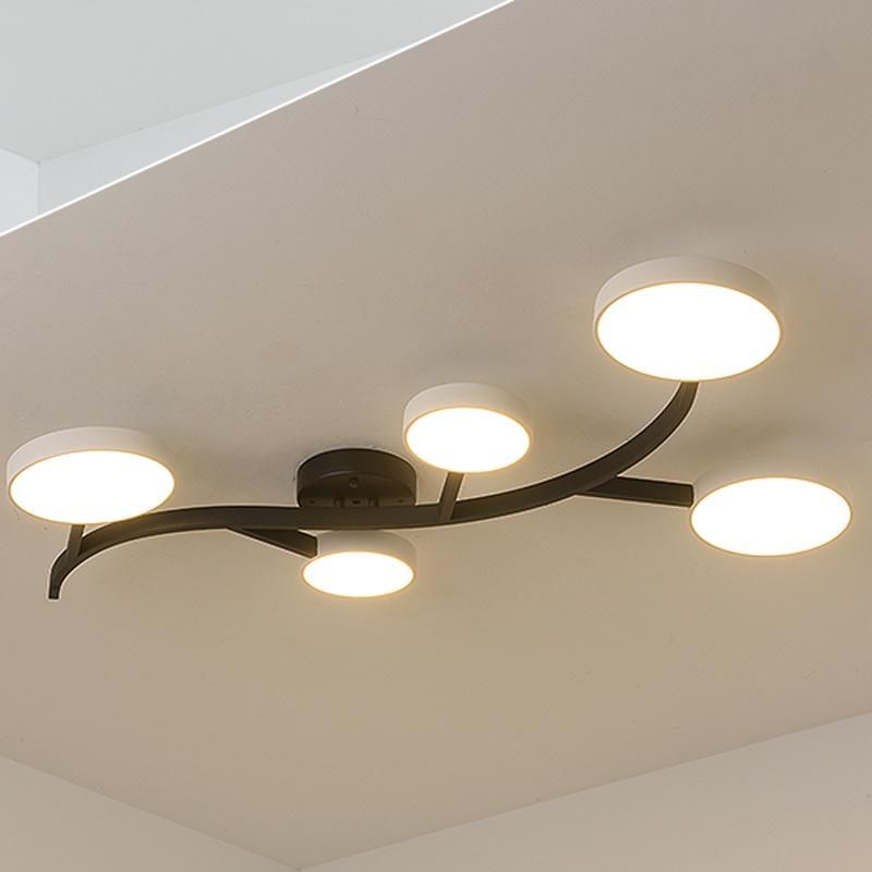 Nordic Iron Living Room Light Personality Modern Simple Creative Study Bedroom Lamp LED Ceiling Lamp