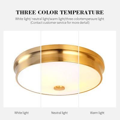 Modern Luxury Plated Gold Brown Round Iron Art Restaurant Porch Ceiling Lamp for Living Room