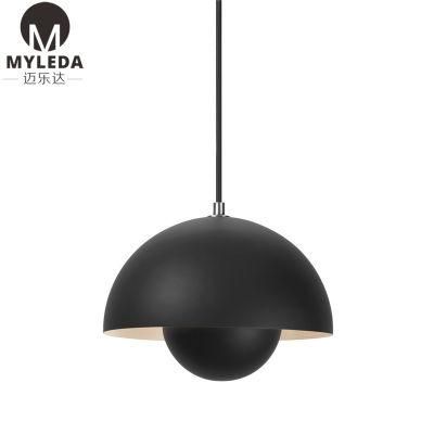 Modern Style Chandelier Globe LED Pendant Light