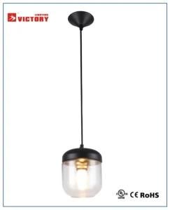 Hot Selling Modern Simple Pendant Lamp for Living