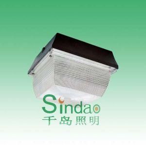 Induction Lamp-Ceiling Lamp (SD-CL-601)