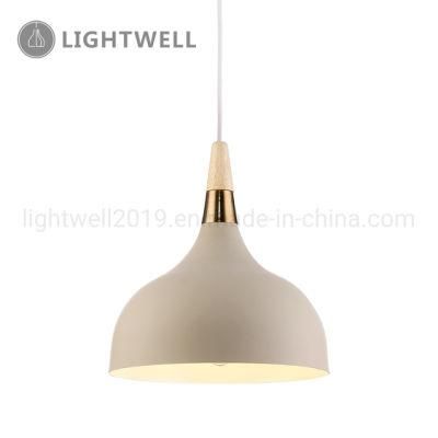 Decorative Chandelier Indoor pendant Lamp Suspension hanging light