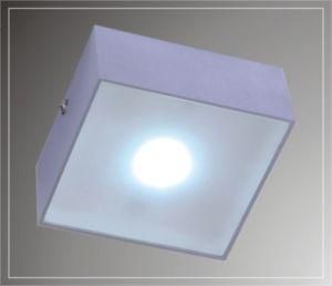 LED Ceiling Lights (LED-201211)