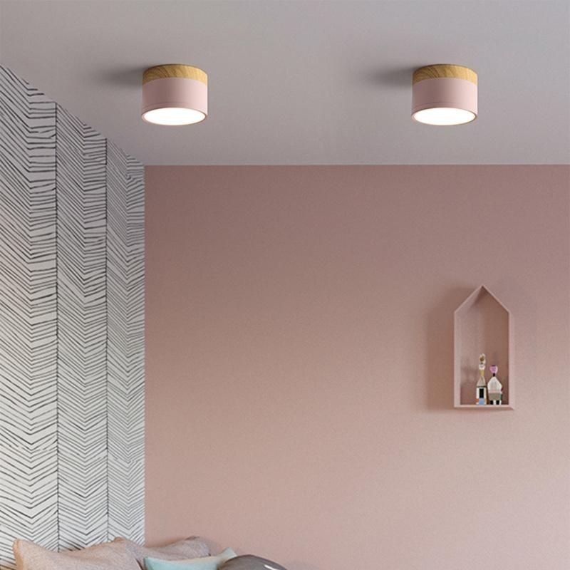 Mini Small Size Concise Style Ceiling Lamp Pendant Lamp Restaurant Lamp