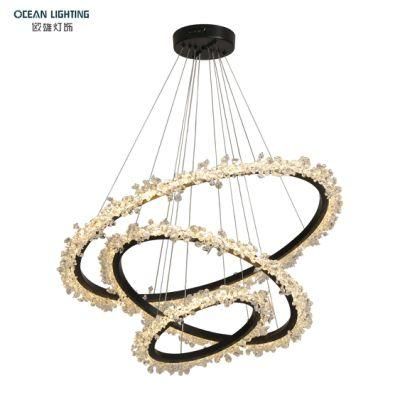 Ocean Lighting Indoor Home Lighting Chandelier Fancy Lighting Lamp