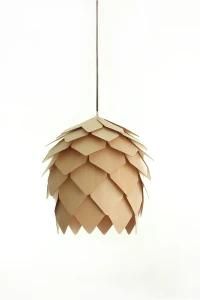 Fashion Modern Wood Lamp/ Light Pendant Product Name: Pineal