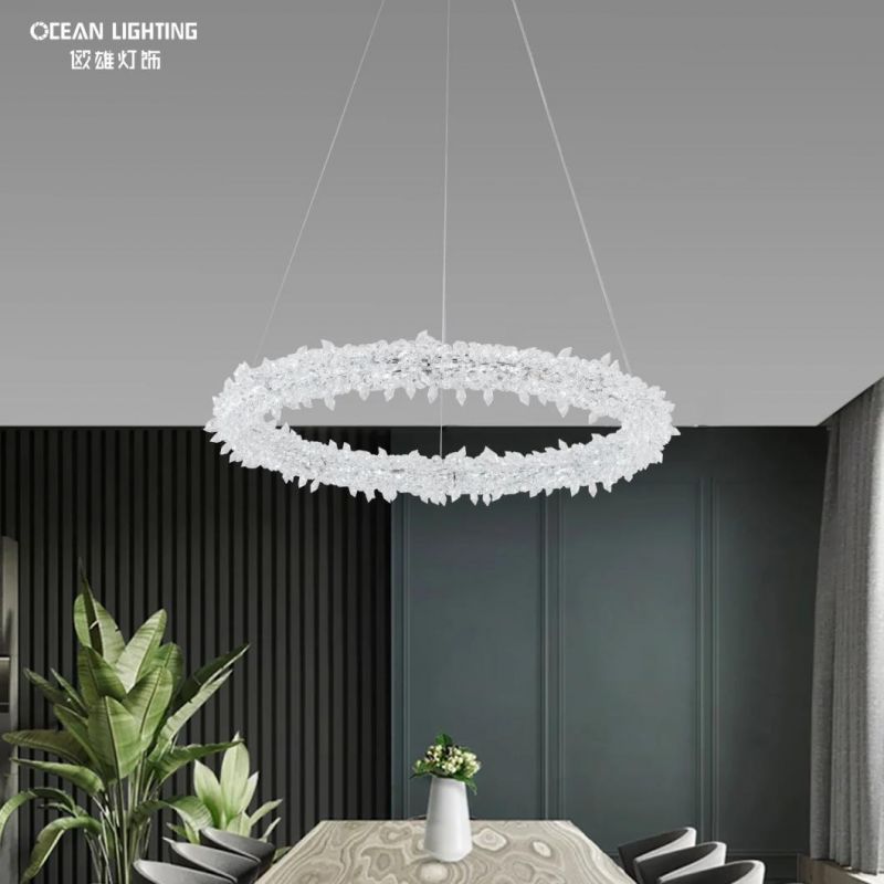 Pendant Lamp Chandelier Luxery Pendant Metal Lamp Omd8138/60 Dia60cm