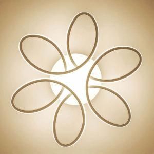 Ceiling Light Modern Lighting Pendant Lamp