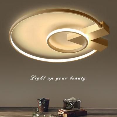 Creative Ceiling Light Bedroom Postmodern Fashionable Study Lighting Living Room Lamp
