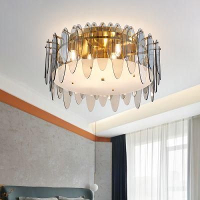 Modern Ceiling Lamps for Living Room Bedroom Hallway Siling Light for Living Room (WH-CA-65)
