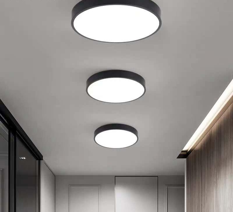 Living Room Lights LED Ceiling Lamp Ultra-Thin 48W Dia 500mm Lighting Fixture Ceiling Lights for Bedroom and Kitchen