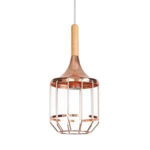 #Light Pendant Modern Vintage Ceiling Lamp Wire Cage Pendant Lamp