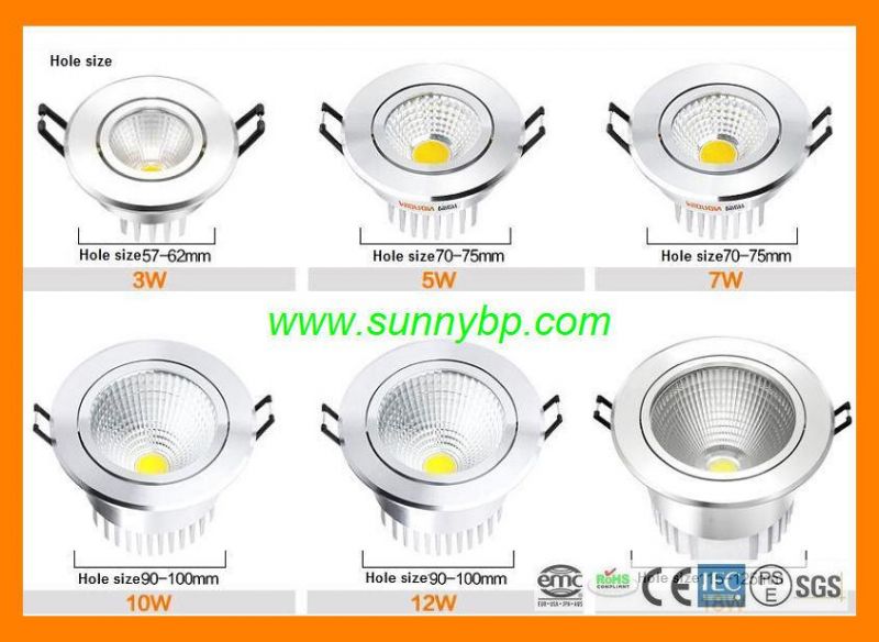 12V/220V Dimmable LED Downlight with IEC 62560