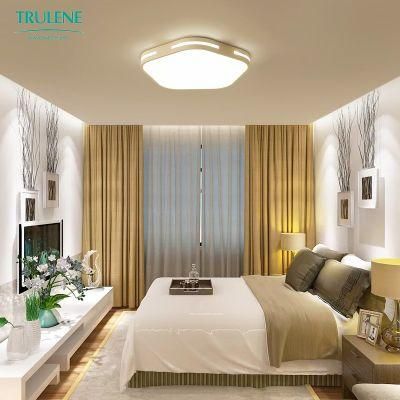 Ceiling Light LED Living Room Bedroom LED Modern Ceiling Light