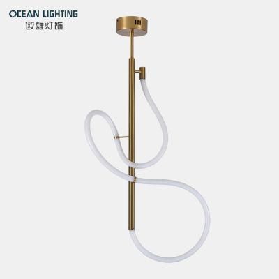 Modern Ceiling Lights Modern Ceiling Lamp LED Suspended Ceiling Light