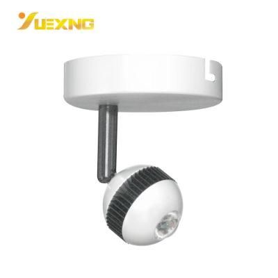 LED Indoor Ceiling Spotlight (L10091)