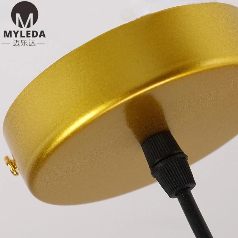 Modern Metal Glass Suspension Style LED Bulb Light Source Pendant Light