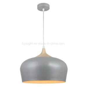 Stainless Steel Pendant Lamp for Bar with Ce