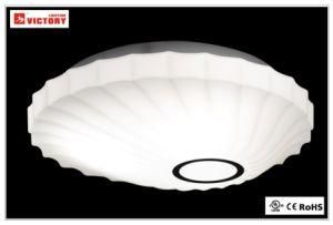 Simple Round Original Glass LED Ceiling Lighting