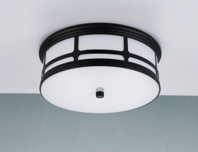 Ceiling Light 12" E27 Black, Chrome, Ab Color, ETL