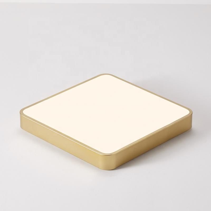 Golden Iron High Lumen LED Ceiling Light Indoor LED Lamp