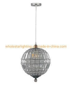 Metal Pendant Lamp (WHP-725)