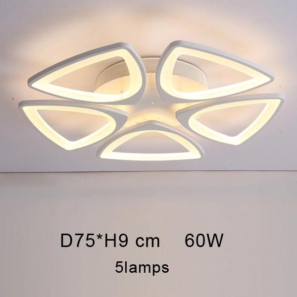 Adjustable Acrylic Ceiling Lights for Living Room Bedroom Kitchen Lighting Fixtures (WH-MA-58)