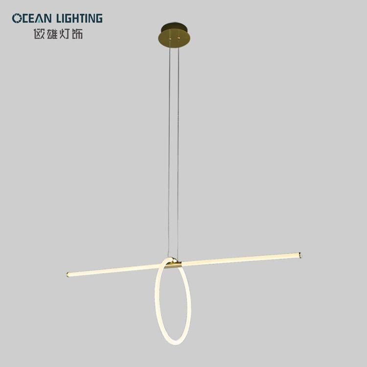 Silicone&Acrylic LED Pendant Light Om820815