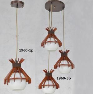 Modern Indoor Pendant Lamp, Home Decorative Hanging Lights