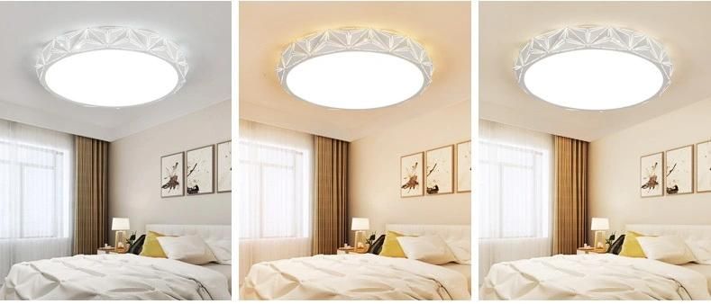 Modern Simple Round Art Acrylic LED Ceiling Lights /Lamp with PMMA Zf-Cl-041
