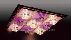 LED Ceiling Light (25051/9Y)