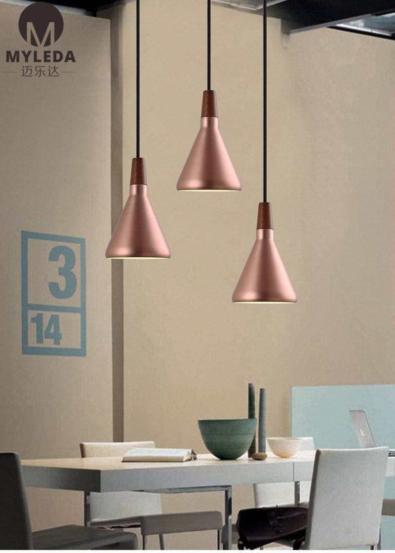 Pendant Lamp with Wood Decorative Head