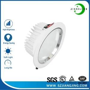 Down Light with Good Quality JJ-Dl50W-L120-P