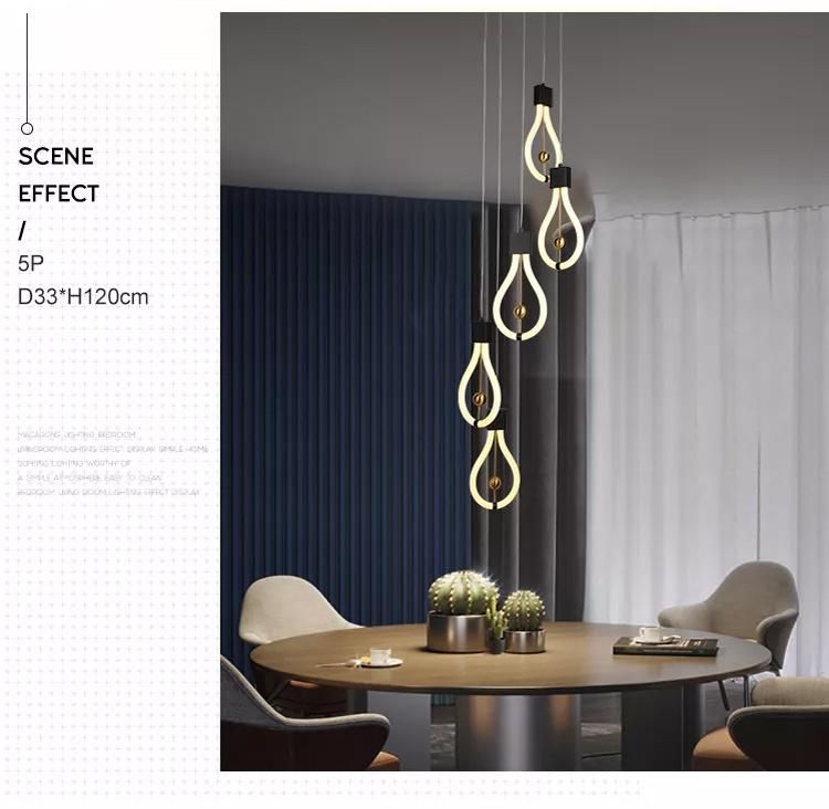 Fashionable Hanging Modern Luminous Sport Black LED Chandelier Pendant Light