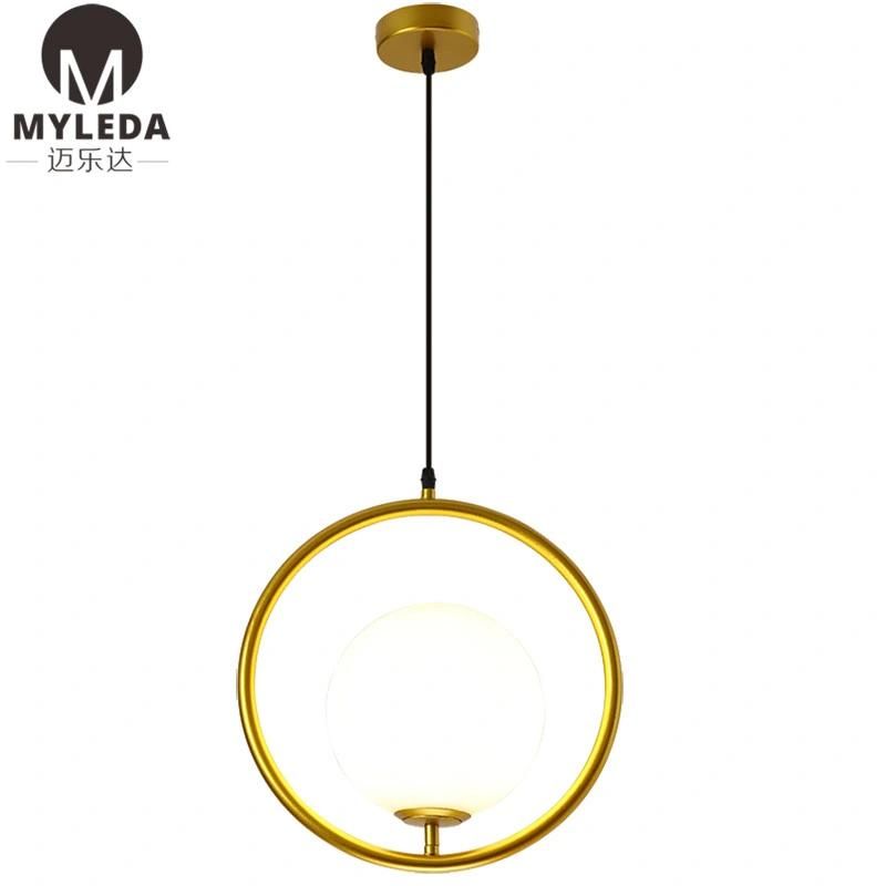 Modern Metal Glass Suspension Style LED Bulb Light Source Pendant Light