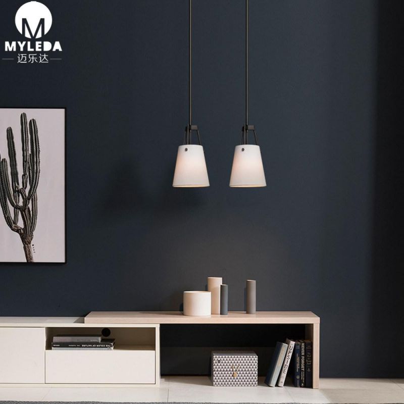 Modern Home Decor Luxury Hanging Single Pendant Light